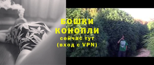 гидра Лихославль