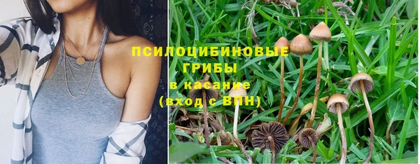 круглые Ладушкин