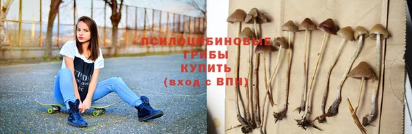 круглые Лагань