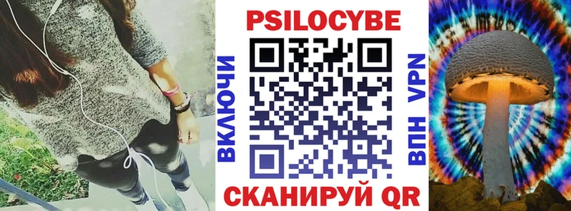 Купить  Новозыбков  Галлюциногенные грибы MAGIC MUSHROOMS 