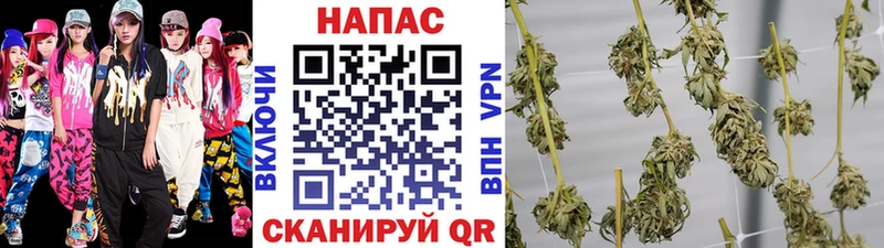Купить где  Новозыбков  Бошки марихуана семена 
